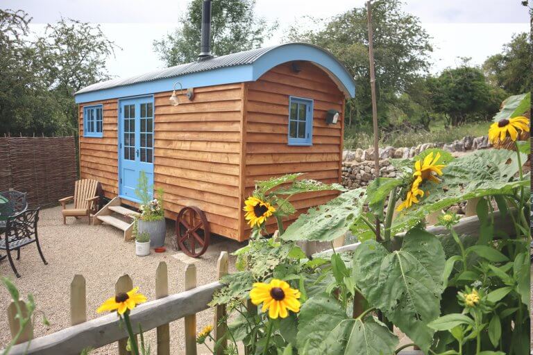 Sunflowers and the Shepherd's Hut