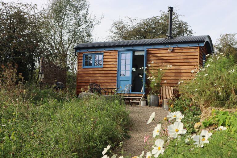 Sunflowers and Shepherd's Hut